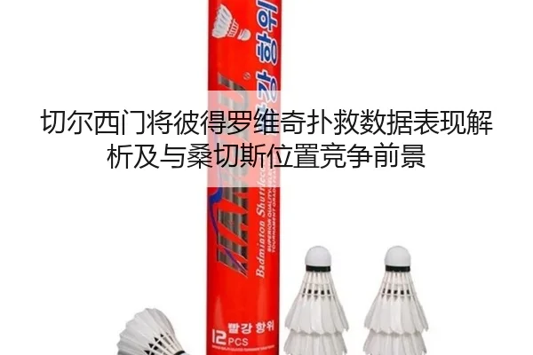 切尔西门将彼得罗维奇扑救数据表现解析及与桑切斯位置竞争前景