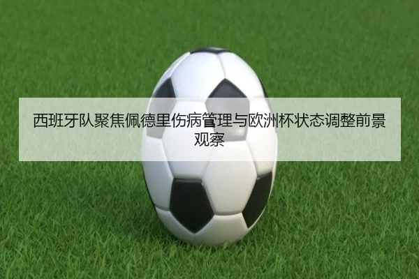 西班牙队聚焦佩德里伤病管理与欧洲杯状态调整前景观察